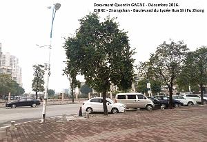 Zhongshan 005- Quartier